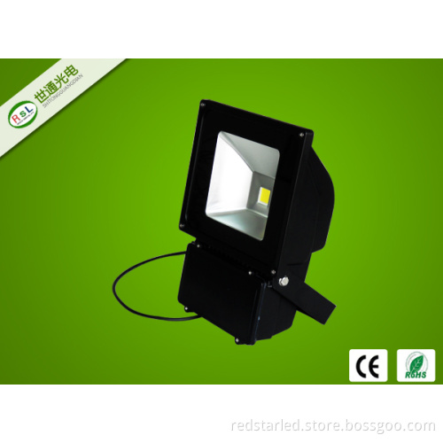 10W LED Flood Light